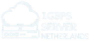 1gbps-server-netherlands.com